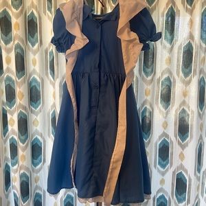 Alice in Wonderland Costume Girls Medium